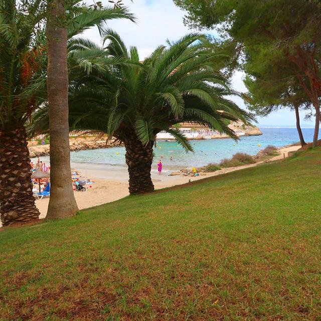 Hôtel Occidental Cala Vinas photo 35