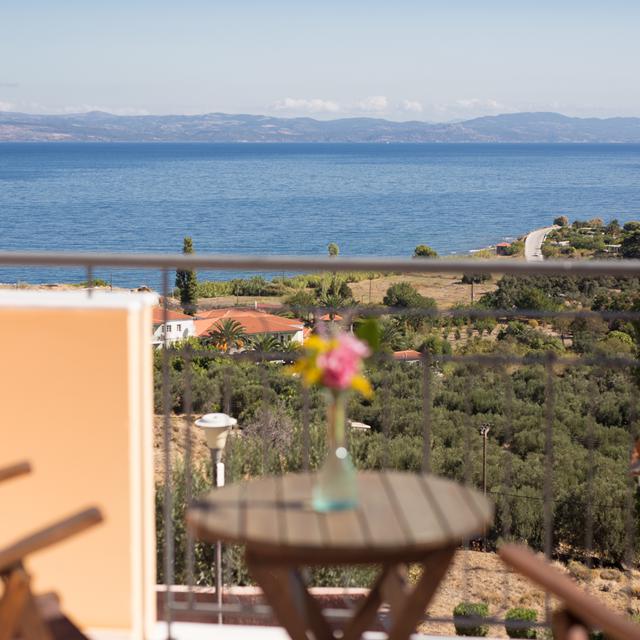 Hôtel Sunrise Resort - All Inclusive photo 2