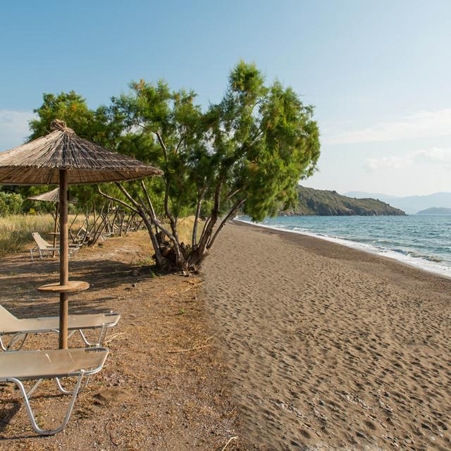Hôtel & Bungalows Delfinia photo 2