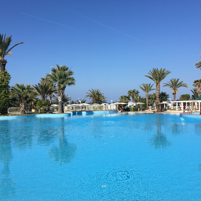 Hôtel El Mouradi Palm Marina photo 6