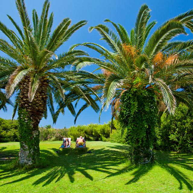 Hôtel & Bungalow Caravia Beach photo 11