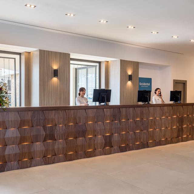 Hotel Occidental Fuengirola photo 17