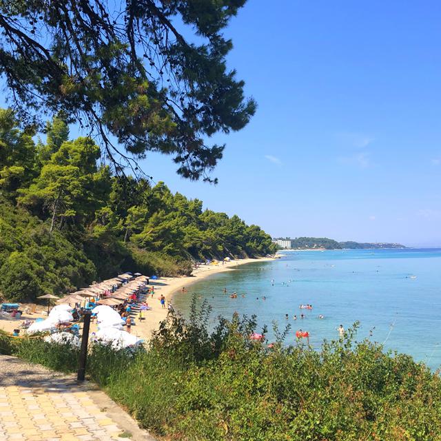 Appart'hôtel Alkion - Logement & petit-déjeuner photo 8