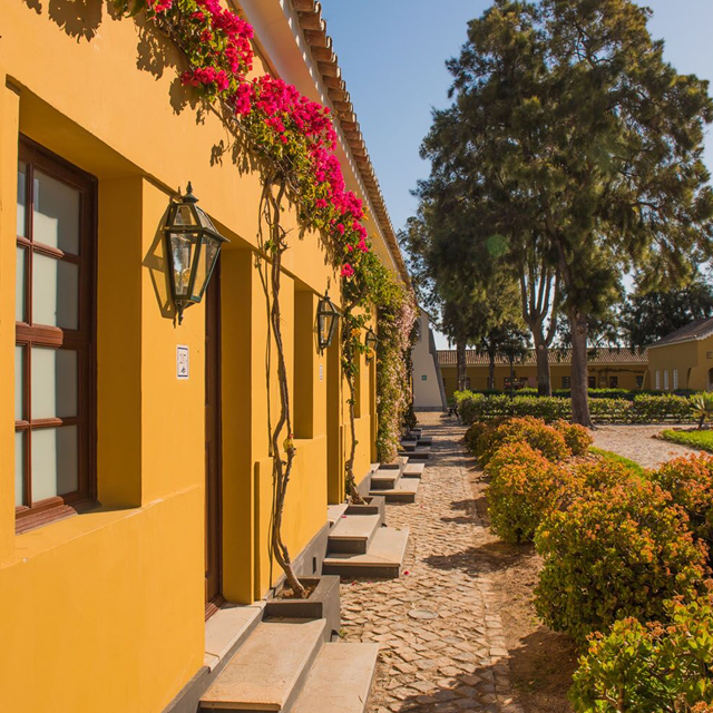 Eco Hotel Vila Gale Albacora photo 1