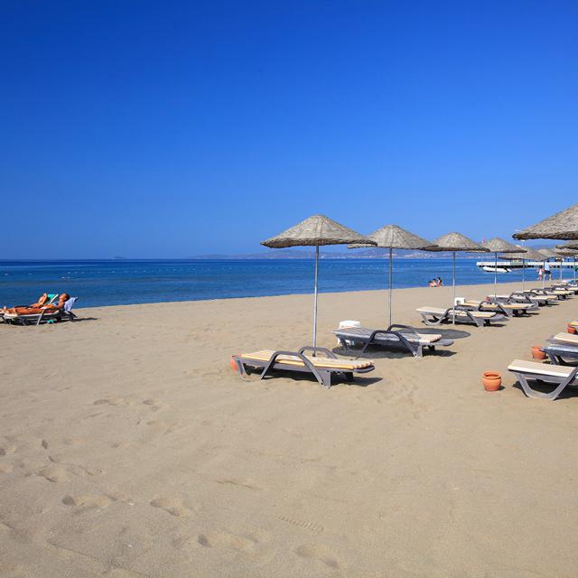 Hôtel Club Yali Hotels & Resort photo 17