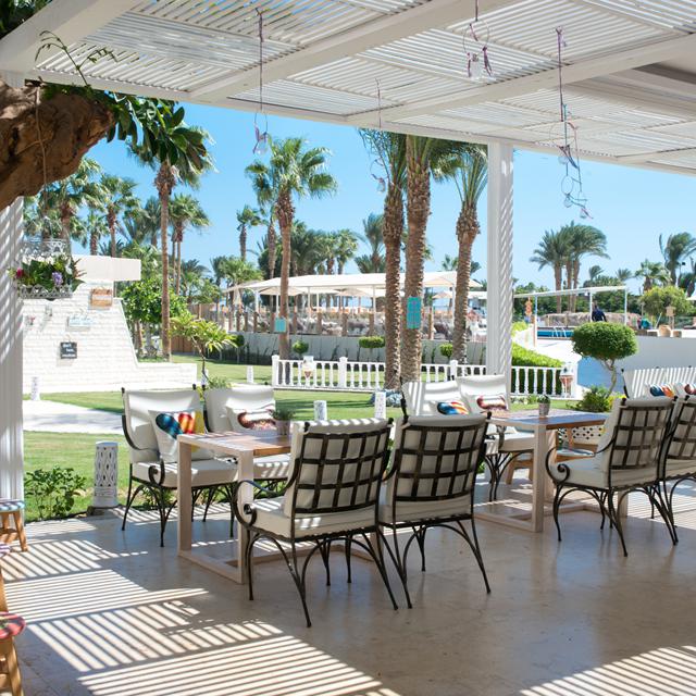 Hôtel Meraki Resort - Réservé aux adultes photo 16