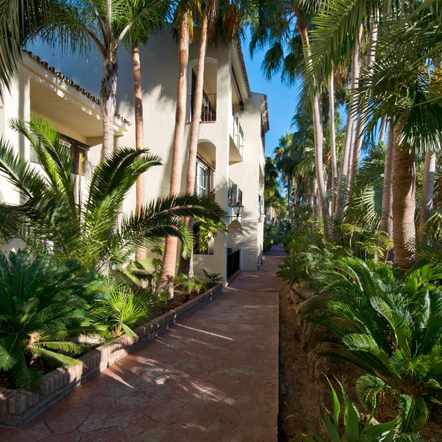 Hôtel Blue Bay Banus photo 10