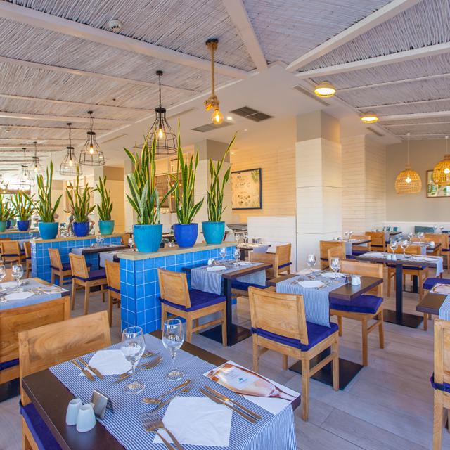 Hôtel Corallium Beach by Lopesan photo 9