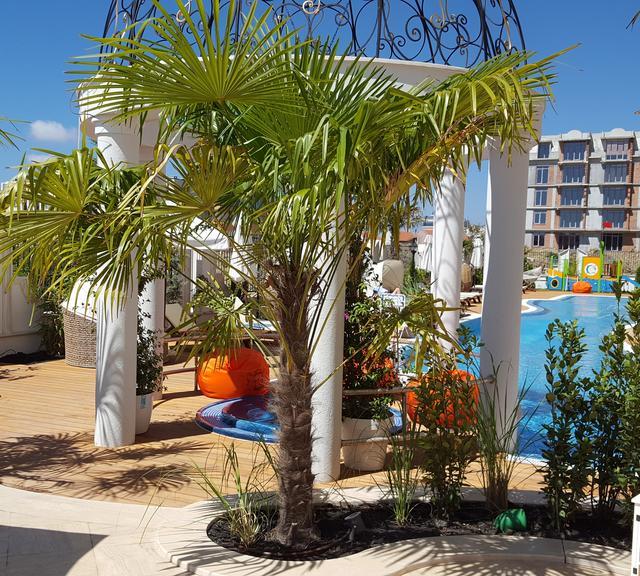 Harmony Suites - Saint Vlas photo 7