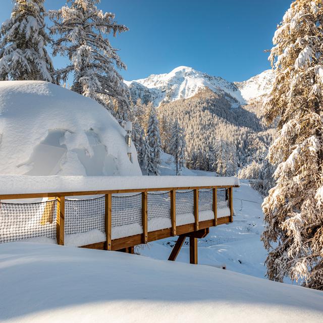 Alpin d'Hôme photo 6