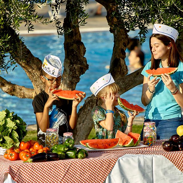 Hôtel Vasia Resort & Spa photo 25