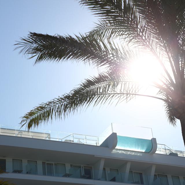 Hôtel Iberostar Bahia de Palma - Réservé aux adultes photo 17