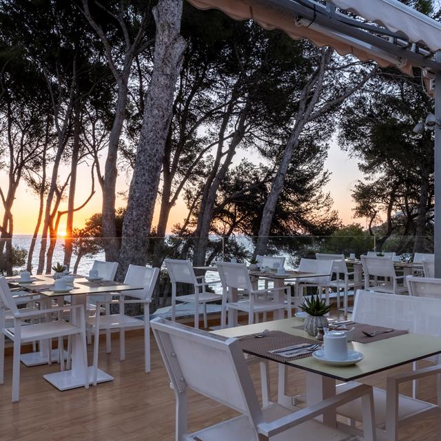 Iberostar Waves Pinos Park photo 15