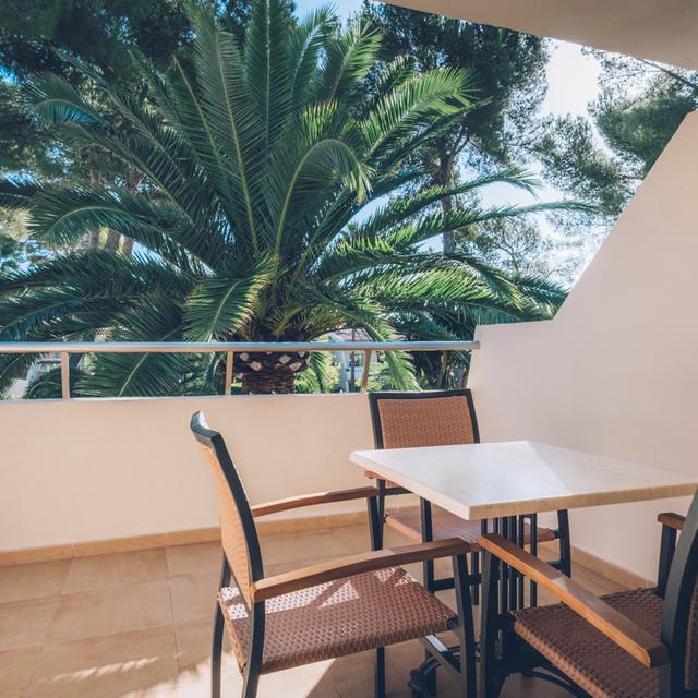 Iberostar Waves Pinos Park photo 31