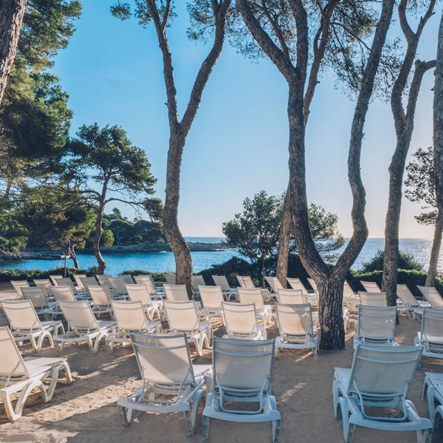 Iberostar Waves Pinos Park photo 1
