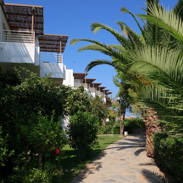 Hôtel Apollonia Beach Resort & Spa photo 24