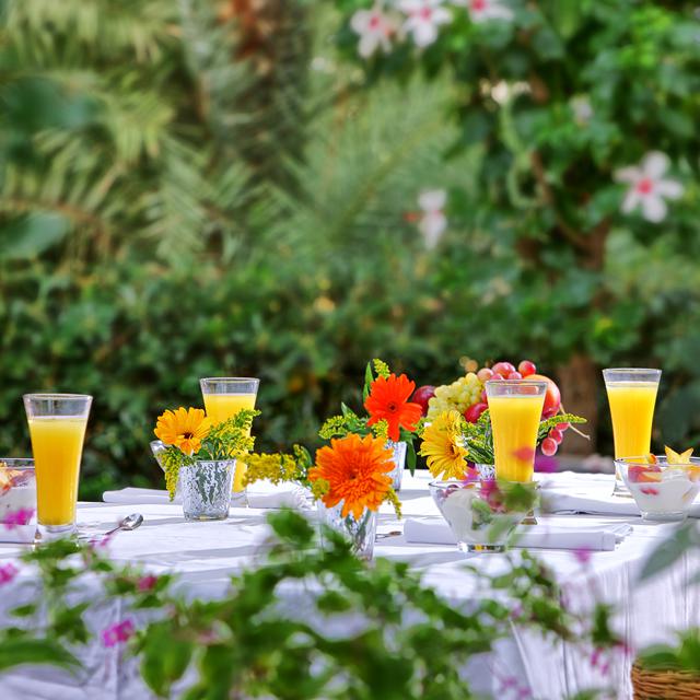 Hôtel Apollonia Beach Resort & Spa photo 11