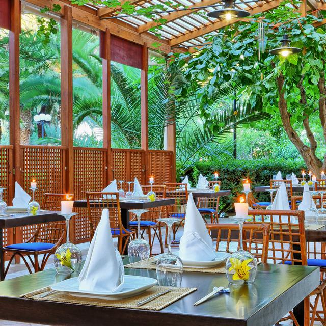 Hôtel Apollonia Beach Resort & Spa photo 8