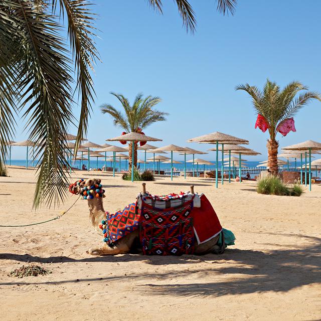 The Three Corners Sunny Beach Resort photo 16