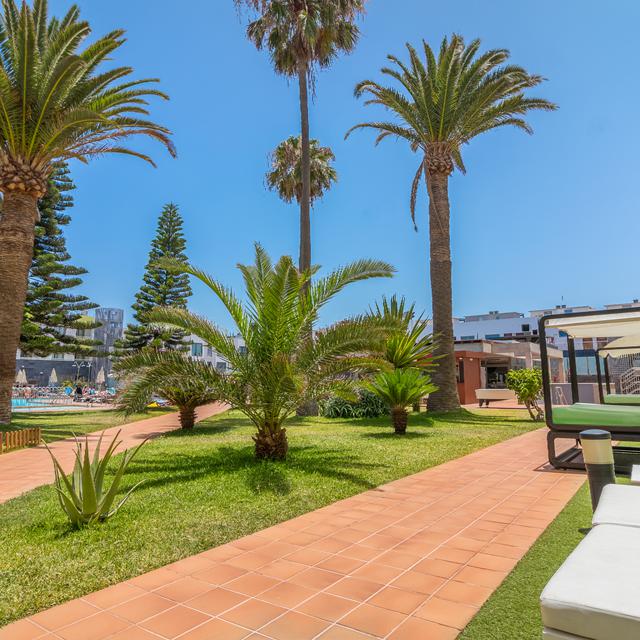 Appartements LIVVO Corralejo Beach photo 19
