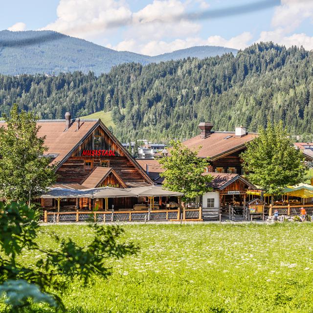 Alpenchalets Flachauer Gutshof photo 11