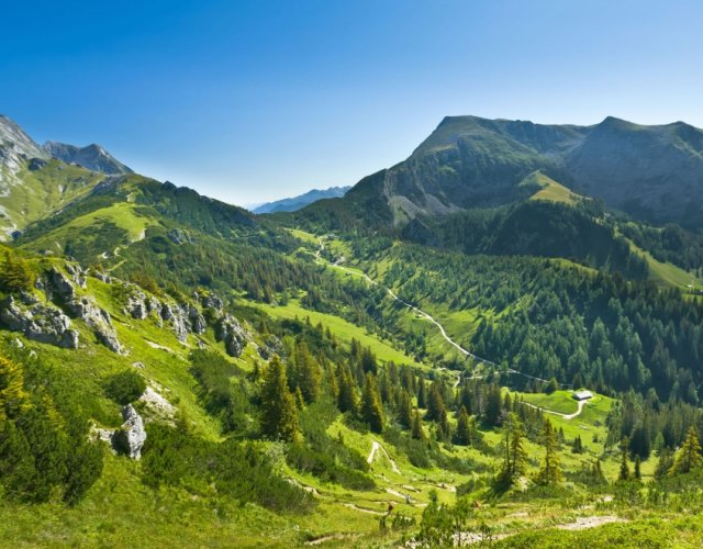 Alpenchalets Flachauer Gutshof photo 23