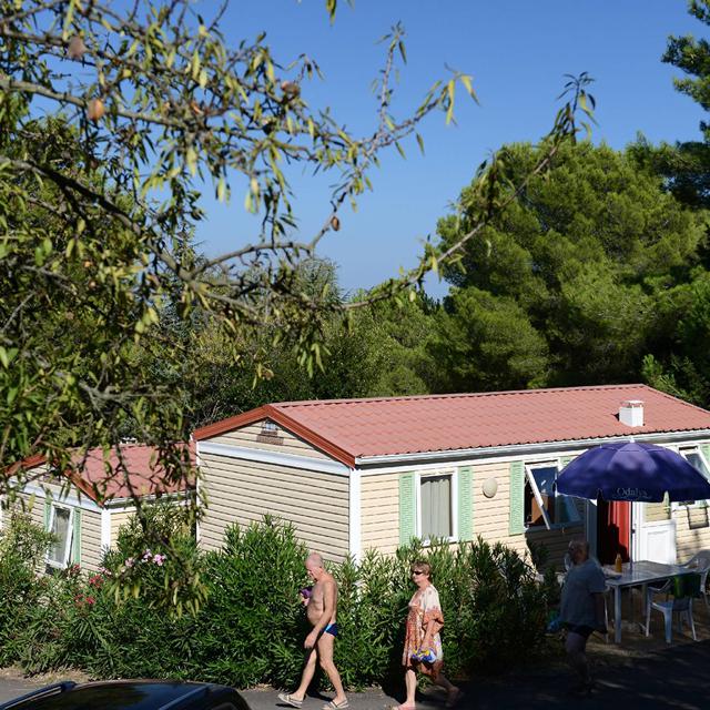 Camping Odalys la Pinède photo 8