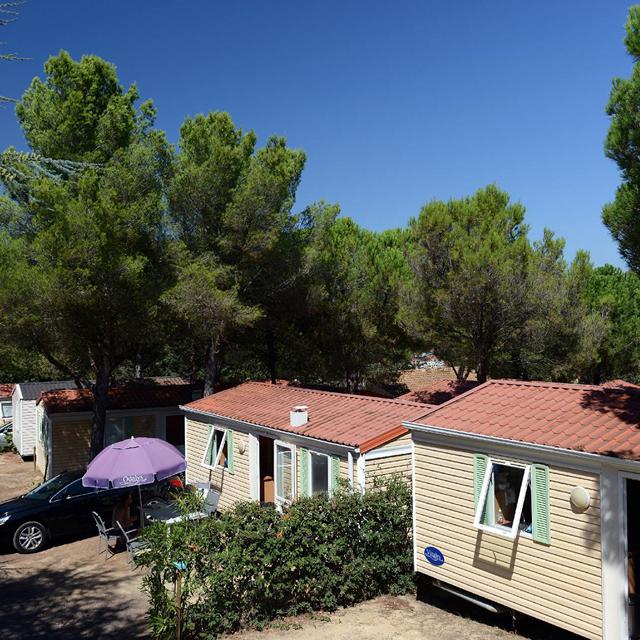 Camping Odalys la Pinède photo 11