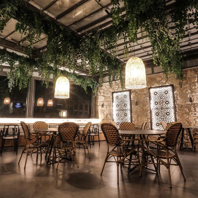 Hôtel Anna Maria Paradise photo 5