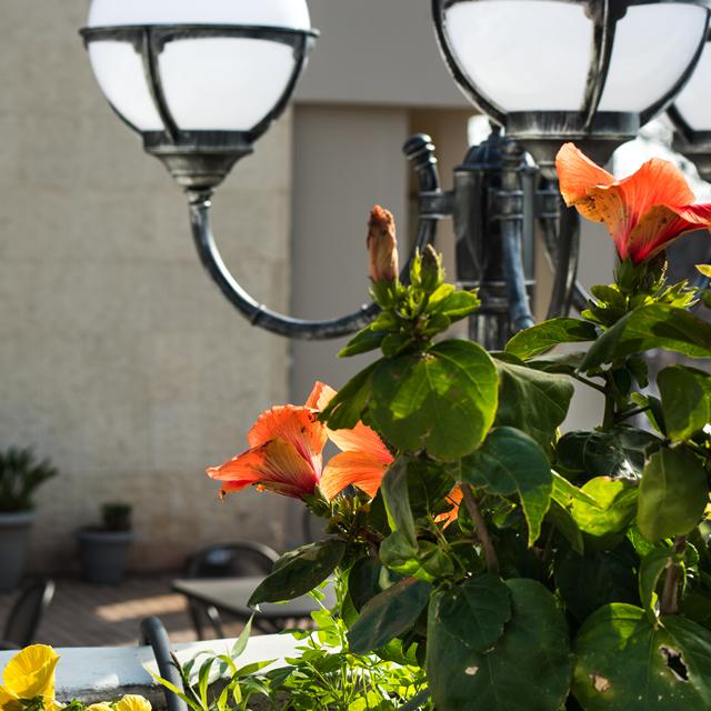 Hôtel Myrto photo 20