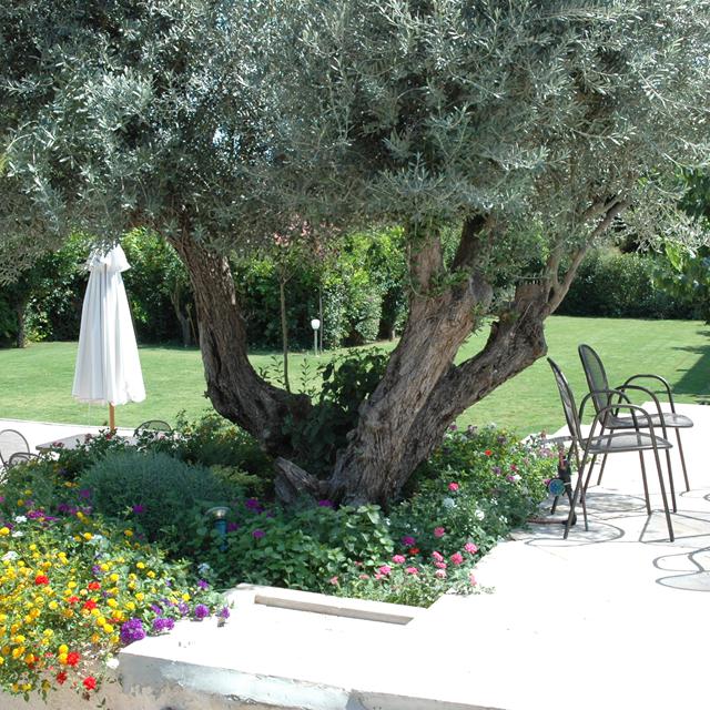 Hôtel Myrto photo 10