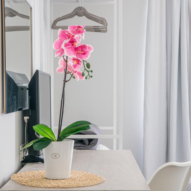 Hôtel Myrto photo 23