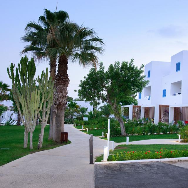 Cala Llenya Resort Ibiza photo 22