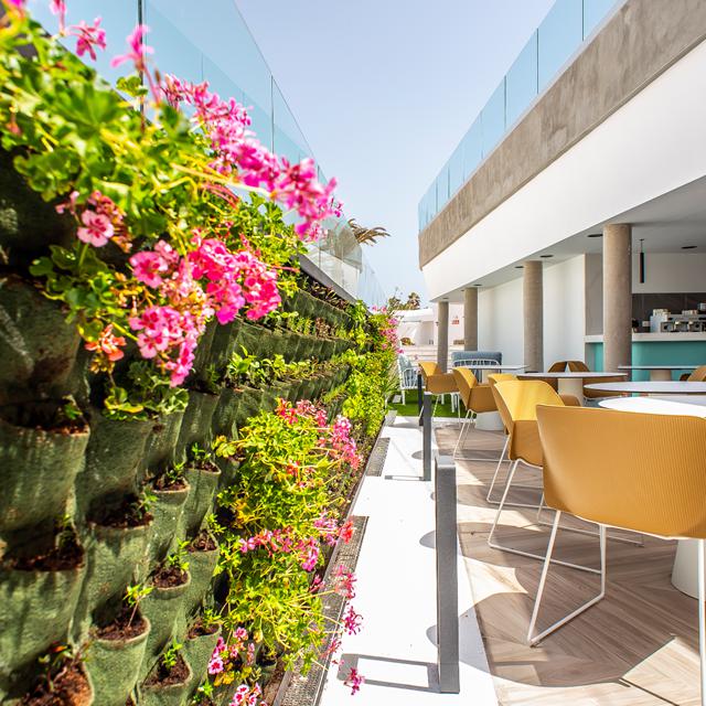 Hôtel Taimar photo 6