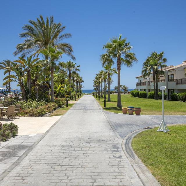 Impressive Playa Granada photo 18