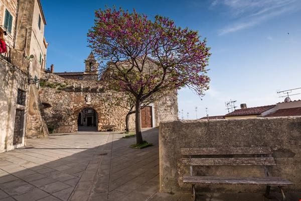 Photo de Rosignano Marittimo