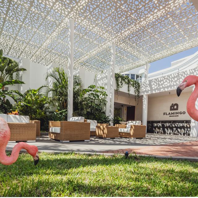 Aparthotel Flamingo Beach Mate photo 8