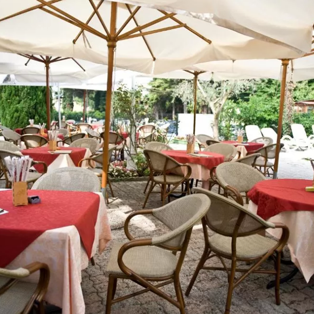 Hôtel Palme & Suite photo 11