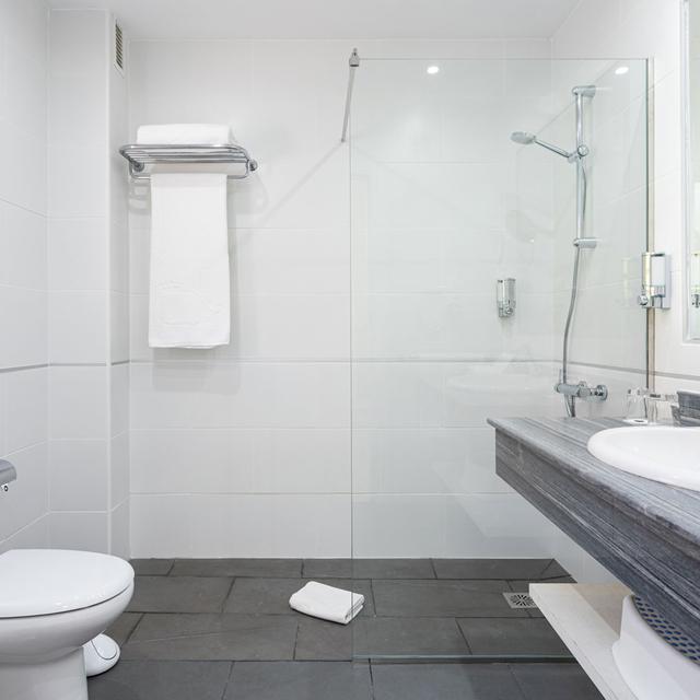 Aparthotel El Duque photo 6