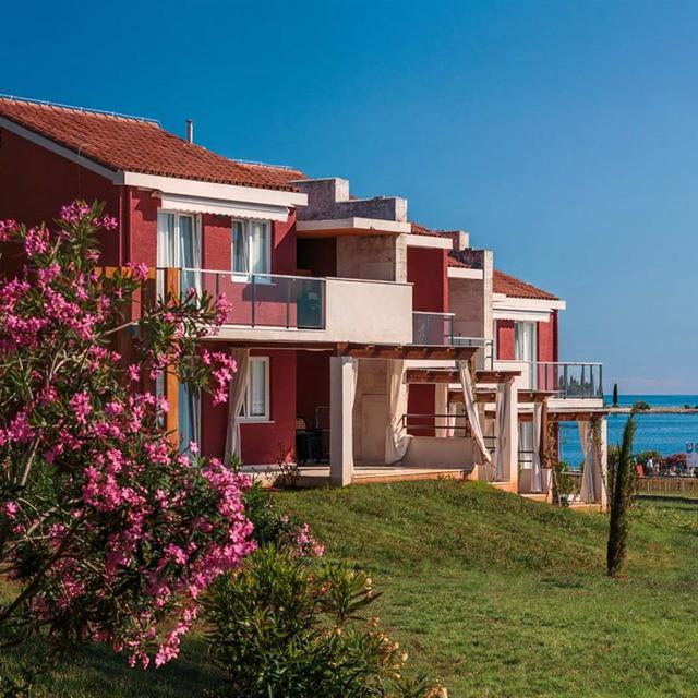 Appartements Katoro Plava Laguna photo 3