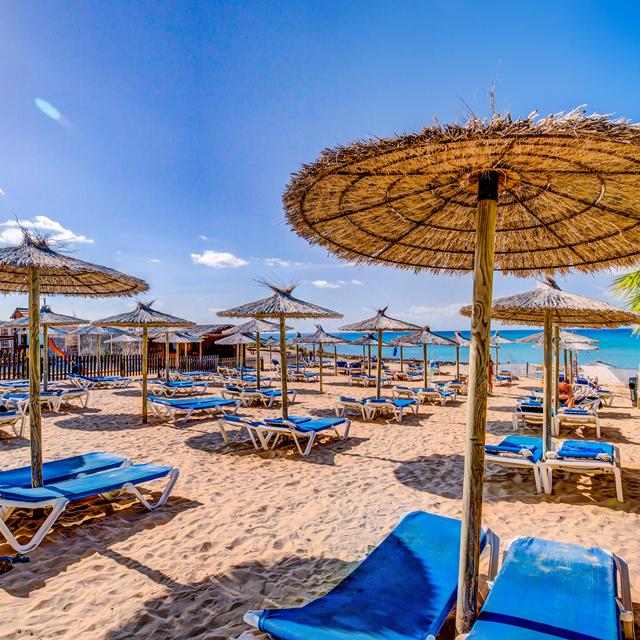 Hôtel SBH Costa Calma Beach Resort photo 11