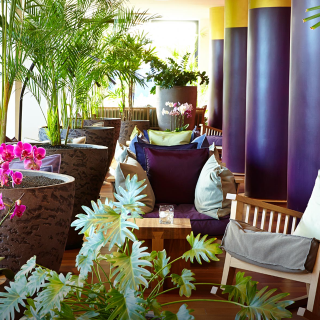 Hotel Bohemia Suites & Spa - Réservé aux adultes photo 4