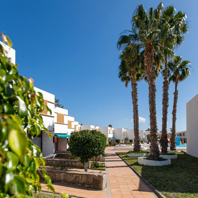 Bungalows Las Brisas photo 12