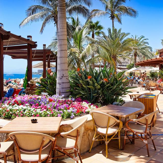 Bull Dorado Beach & Spa photo 3
