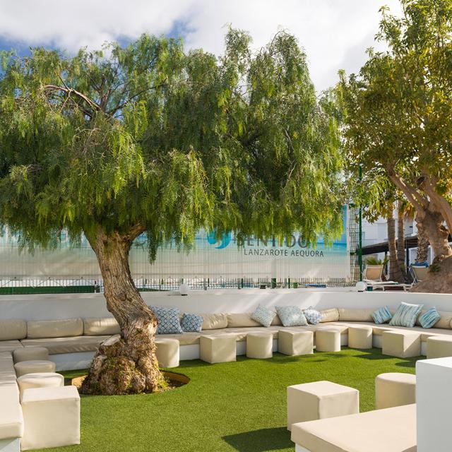 Sentido Aequora Lanzarote Suites photo 17