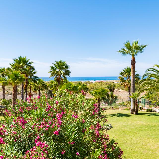 Appartements Praia da Lota photo 2