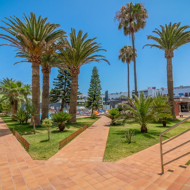 Hôtel LIVVO Corralejo Beach - Logement photo 9