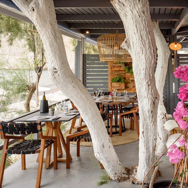 Afroditi Beach Hotel & Spa photo 1