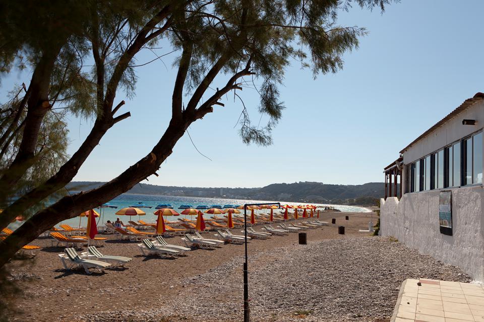 Ixia Photo : 3 sur 4