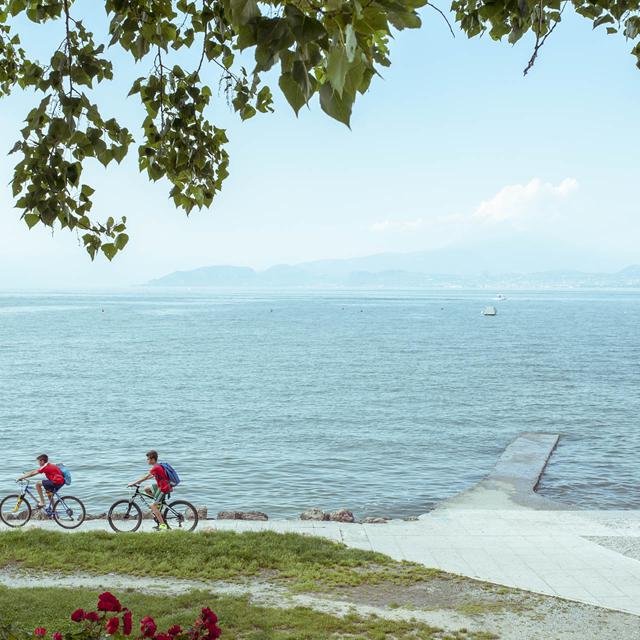 Camping Wien photo 3